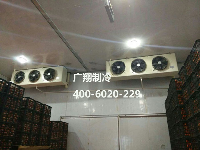 1466736527641732