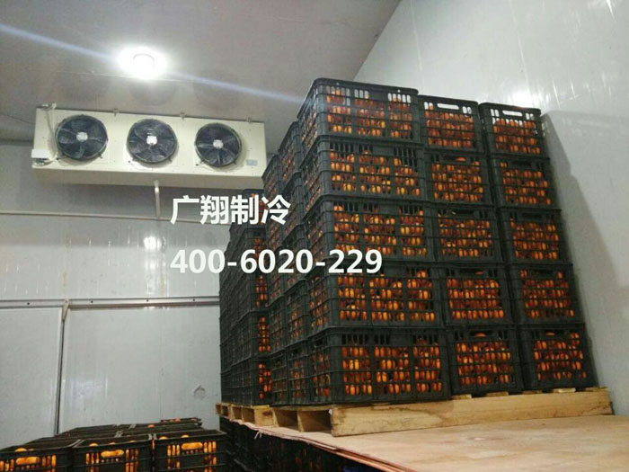 1466736541233017