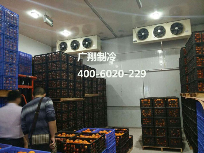 1466736552633298