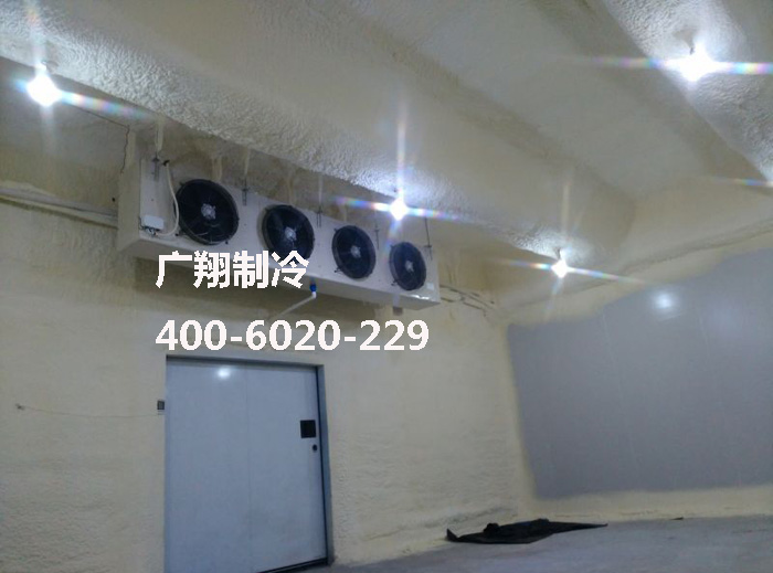 1466736944142822