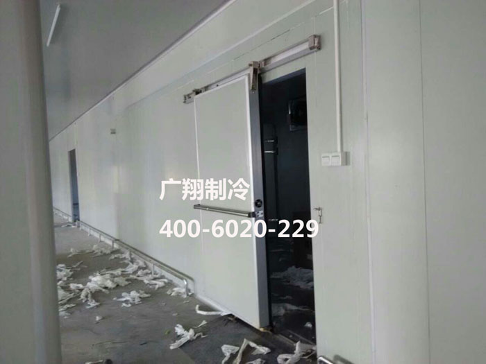 1466737263236244