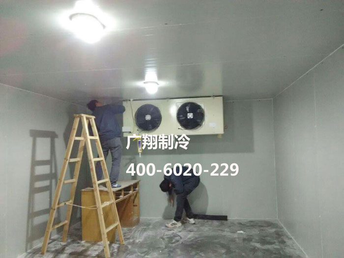 1466737265130265