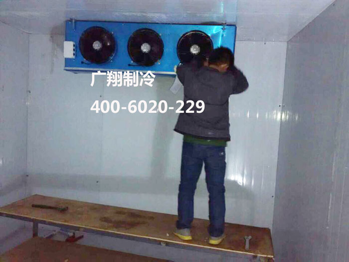 1466737270599518
