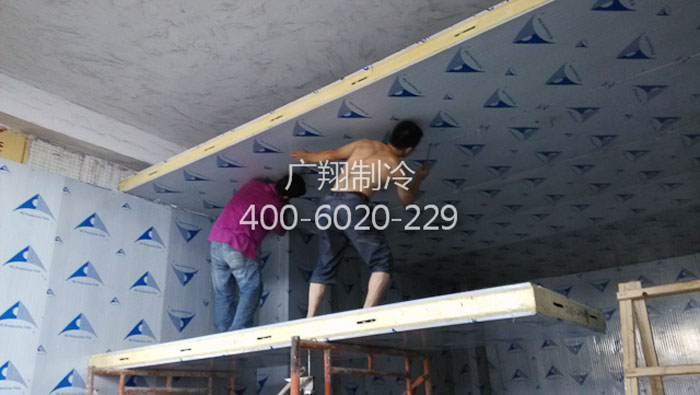 1466737956176731
