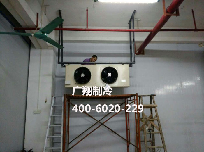 1466738383255953