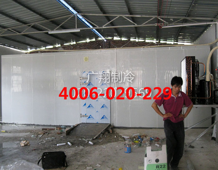 1466739429562124