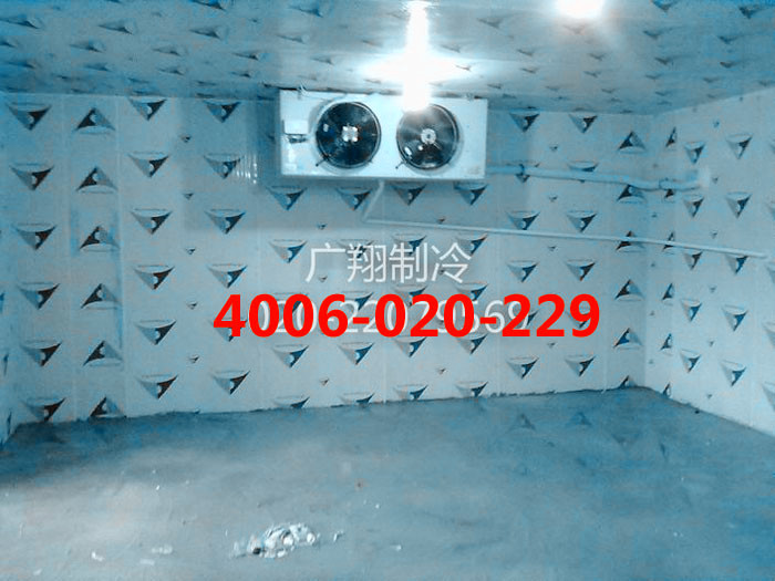 1466740175437762