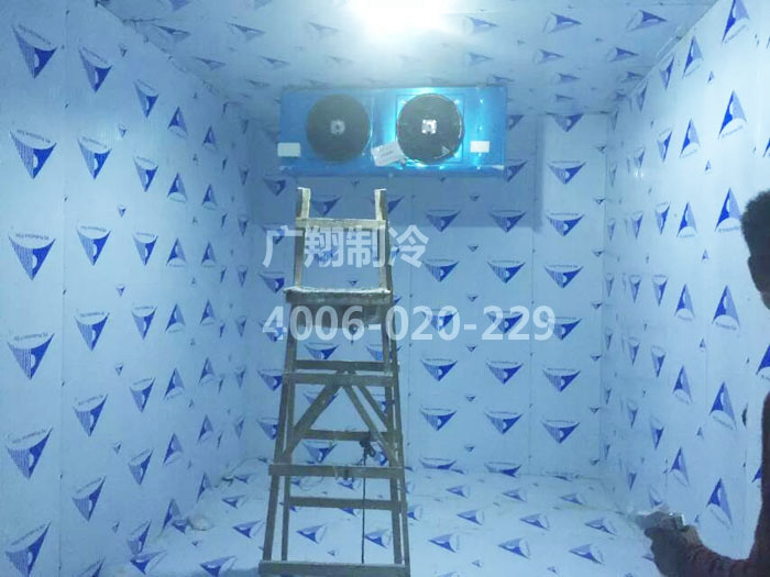 1466749323693026