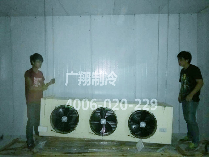 1466749653114503