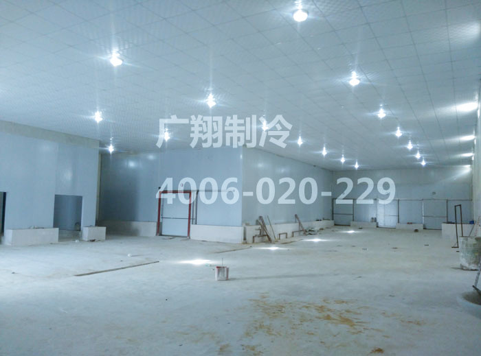 1466750783128643