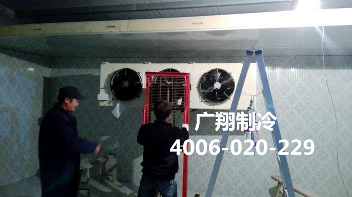 1466751657107605