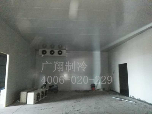 1466752430149234