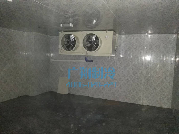 汕头牛肉丸冷库三套