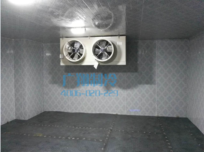 汕头牛肉丸冷库三套