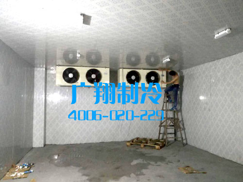 1504581176101111