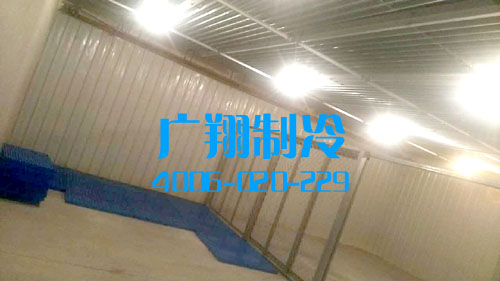 1510623580102450