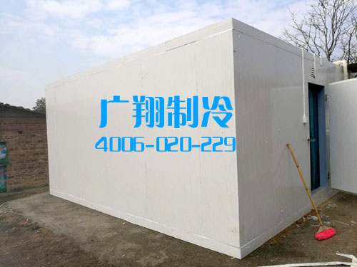 1517472055234953