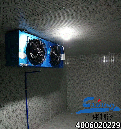 1534833670760672